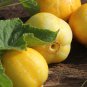 New Arrival 1 Oz Lemon Cucumber Seeds