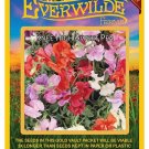 Premium 50 Knee High Mixed Sweet Pea Wildflower Seeds Premium 50 Knee High Mixed Sweet Pea Wildflower Seeds