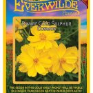 Best-Selling 500 Dwarf Gold Sulphur Cosmos Wildflower Seeds Best-Selling 500 Dwarf Gold Sulphur Cosmos Wildflower Seeds