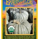 New Arrival 10 Organic Jarrahdale Pumpkin Seeds New Arrival 10 Organic Jarrahdale Pumpkin Seeds