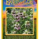 Limited Edition 1000 Spotted Bee Balm Wildflower Seeds Limited Edition 1000 Spotted Bee Balm Wildflower Seeds