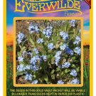 Best-Selling 2000 Forget Me Not Wildflower Seeds Best-Selling 2000 Forget Me Not Wildflower Seeds