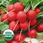 Top-Quality 250 Organic Cherry Belle Radish Seeds