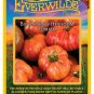 New Arrival 50 Big Rainbow Heirloom Tomato Seeds