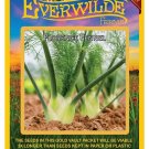 Top-Quality 1 Oz Florence Fennel Herb Seeds Top-Quality 1 Oz Florence Fennel Herb Seeds