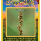New Arrival 1000 Fox Sedge Native Grass Seeds New Arrival 1000 Fox Sedge Native Grass Seeds