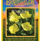 New Arrival 400 Missouri Evening Primrose Wildflower Seeds