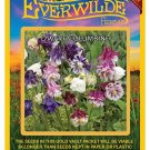 Best-Selling 1250 Dwarf Mixed Columbine Wildflower Seeds Best-Selling 1250 Dwarf Mixed Columbine Wildflower Seeds