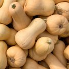 Limited Edition 1/4 Lb Waltham Butternut Winter Squash Seeds