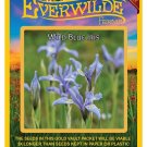 Top-Quality 100 Wild Blue Iris Wildflower Seeds Top-Quality 100 Wild Blue Iris Wildflower Seeds