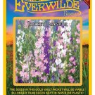 Limited Edition 1000 Mixed Rocket Larkspur Wildflower Seeds Limited Edition 1000 Mixed Rocket Larkspur Wildflower Seeds