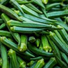 Premium 1/4 Lb Emerald Okra Seeds Premium 1/4 Lb Emerald Okra Seeds