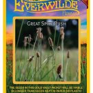 Premium 1000 Great Spike Rush Native Grass Seeds Premium 1000 Great Spike Rush Native Grass Seeds