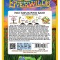 Premium 20 Sweet Dumpling Winter Squash Seeds