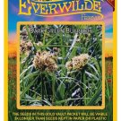 Limited Edition 2000 Dark Green Bulrush Native Grass Seeds Limited Edition 2000 Dark Green Bulrush Native Grass Seeds