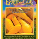 Limited Edition 1 Oz Prolific Straightneck Summer Squash Seeds Limited Edition 1 Oz Prolific Straightneck Summer Squash Seeds