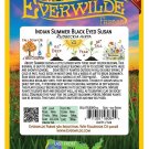 Best-Selling 100 Indian Summer Black Eyed Susan Wildflower Seeds