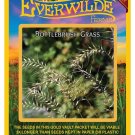 New Arrival 200 Bottlebrush Grass Native Grass Seeds