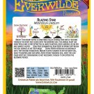 New Arrival 2000 Blazing Star Wildflower Seeds New Arrival 2000 Blazing Star Wildflower Seeds