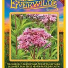 Limited Edition 2000 Joe Pye Weed Wildflower Seeds