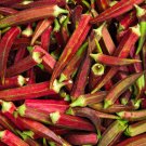 Exclusive 1/4 Lb Red Burgundy Okra Seeds Exclusive 1/4 Lb Red Burgundy Okra Seeds