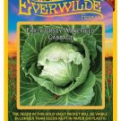 Premium 500 Early Jersey Wakefield Cabbage Seeds Premium 500 Early Jersey Wakefield Cabbage Seeds
