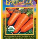 Limited Edition 1000 Organic Chantenay Red Cored Carrot Seeds Limited Edition 1000 Organic Chantenay Red Cored Carrot Seeds