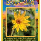 Exclusive 40 Showy Sunflower Wildflower Seeds