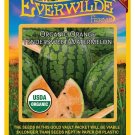 Top-Quality 20 Organic Orange Tendersweet Watermelon Seeds Top-Quality 20 Organic Orange Tendersweet Watermelon Seeds