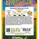 Exclusive 1000 Waldman's Green Leaf Lettuce Seeds Exclusive 1000 Waldman's Green Leaf Lettuce Seeds