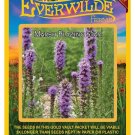 New Arrival 400 Marsh Blazing Star Wildflower Seeds New Arrival 400 Marsh Blazing Star Wildflower Seeds
