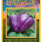 Top-Quality 25 Purple Beauty Sweet Pepper Seeds