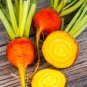 Top-Quality 100 Burpee's Golden Beet Seeds