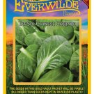 Best-Selling 500 Tat Soi Chinese Cabbage Seeds