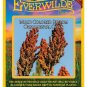 Top-Quality 100 Multi Colored Broom Ornamental Corn Seeds