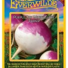 Premium 500 Purple Top White Globe Turnip Seeds Premium 500 Purple Top White Globe Turnip Seeds