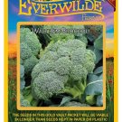 Top-Quality 500 Waltham 29 Broccoli Seeds Top-Quality 500 Waltham 29 Broccoli Seeds