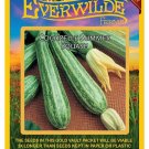 Best-Selling 40 Cocozelle Summer Squash Seeds Best-Selling 40 Cocozelle Summer Squash Seeds