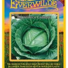Best-Selling 500 Brunswick Cabbage Seeds Best-Selling 500 Brunswick Cabbage Seeds