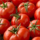 Top-Quality 1/4 Lb Marglobe Heirloom Tomato Seeds Top-Quality 1/4 Lb Marglobe Heirloom Tomato Seeds
