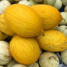 Limited Edition 1/4 Lb Crenshaw Melon Seeds Limited Edition 1/4 Lb Crenshaw Melon Seeds