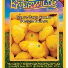Top-Quality 1 Oz Yellow Bush Scallop Summer Squash Seeds Top-Quality 1 Oz Yellow Bush Scallop Summer Squash Seeds