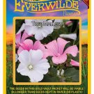 Limited Edition 500 Tree Mallow Wildflower Seeds Limited Edition 500 Tree Mallow Wildflower Seeds