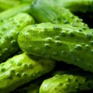 Top-Quality 1/4 Lb National Pickling Cucumber Seeds Top-Quality 1/4 Lb National Pickling Cucumber Seeds