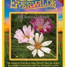 Exclusive 1 Oz Sea Shells Cosmos Wildflower Seeds Exclusive 1 Oz Sea Shells Cosmos Wildflower Seeds