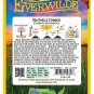 Exclusive 1 Oz Sea Shells Cosmos Wildflower Seeds