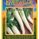 New Arrival 1000 Lunar White Carrot Seeds New Arrival 1000 Lunar White Carrot Seeds