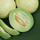 Premium 1/4 Lb Green Flesh Honeydew Melon Seeds Premium 1/4 Lb Green Flesh Honeydew Melon Seeds