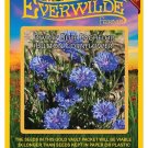 Best-Selling 500 Dwarf Blue Bachelor Button Cornflower Wildflower Seeds