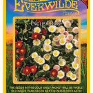 Best-Selling 1 Oz English Daisy Mixed Wildflower Seeds Best-Selling 1 Oz English Daisy Mixed Wildflower Seeds